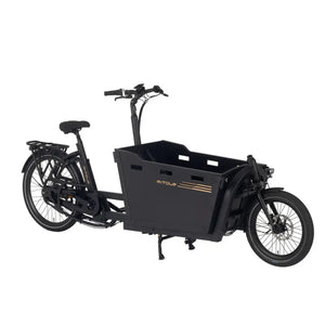 Three-quarter view of the Aitour Basalt 250W cargo e-bike highlighting the large cargo box.