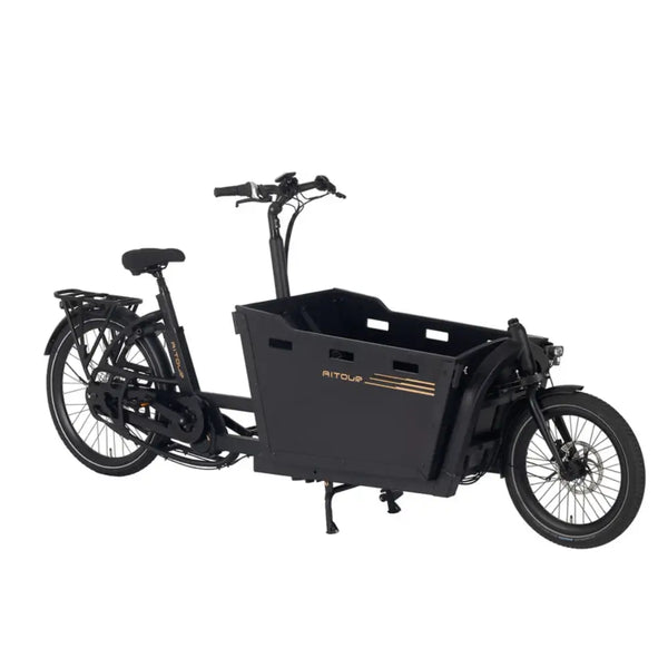 Three-quarter view of the Aitour Basalt 250W cargo e-bike highlighting the large cargo box.