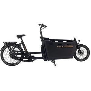 Side view of the Aitour Basalt electric cargo bike 250W with spacious front box and sturdy frame.