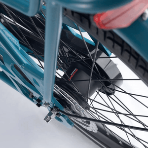 Aitour Electric Cargo Bike - Family S 250W