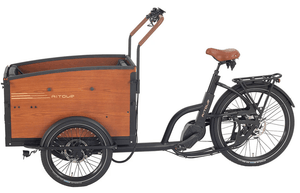 Aitour Electric Cargo Bike - Family S 250W
