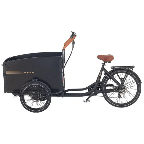 Left side view of the Aitour Electric Cargo Bike Starter 250W with large black cargo box and step-through frame.
