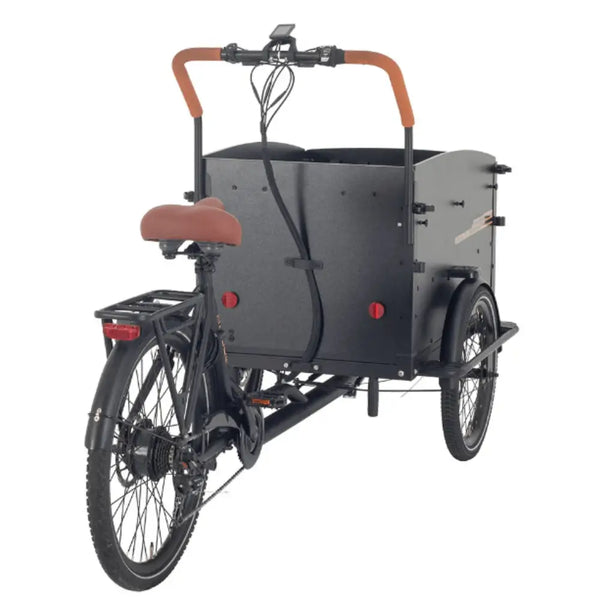 Rear view of the Aitour Electric Cargo Bike Starter 250W, highlighting the strong rear frame and wide cargo box.