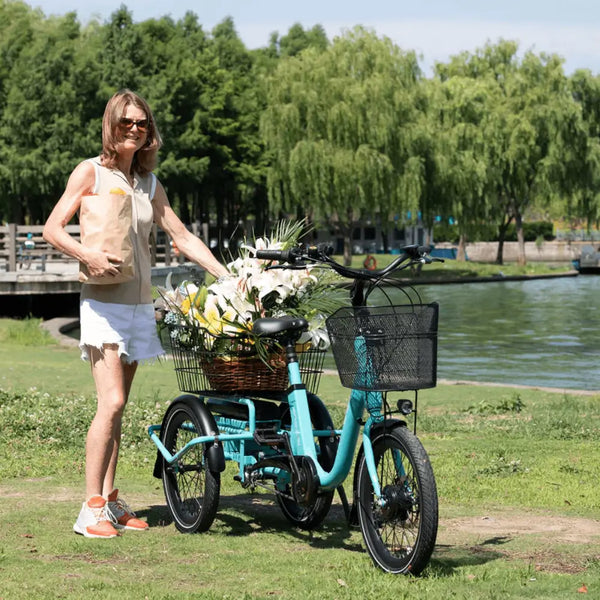 Woman standing beside the Aitour Heal Mini folding electric trike outdoors, rear basket filled with flowers and groceries.