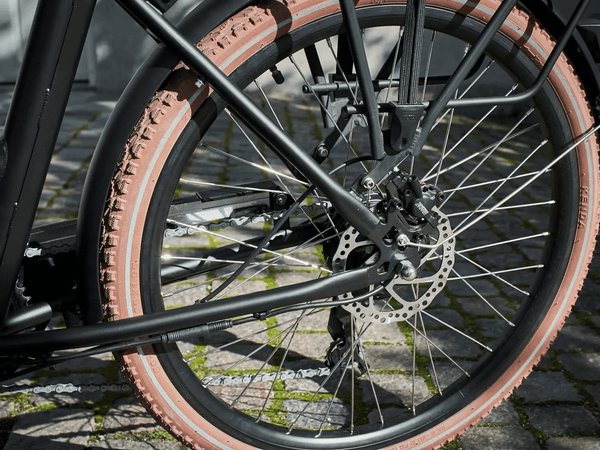 Amcargobikes Ultimate Harmony Cargo Electric Tricycle 250W