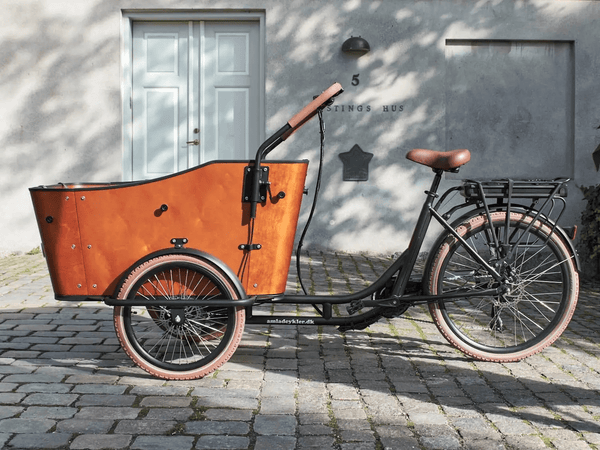 Amcargobikes Ultimate Harmony Cargo Electric Tricycle 250W