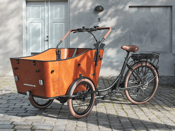 Amcargobikes Ultimate Harmony Cargo Electric Tricycle 250W