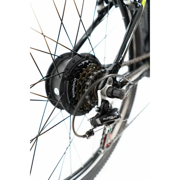 Detailed view of the rear hub motor, Shimano cassette, and Tourney derailleur on the Basis Boxer.
