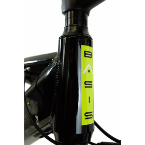 Head tube detail of the Basis Hunter Electric Mountain Bike 250W with bold vertical BASIS branding.