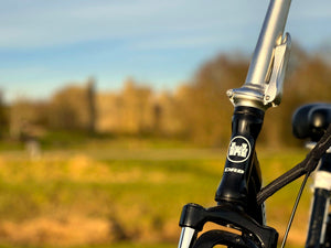 Dallingridge Oxford Folding Electric Bike 250W - Black