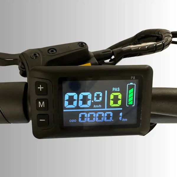 Close-up of the LCD digital display on the handlebars of the EMovement Panther V4.2, showing speed, PAS level, and battery life.