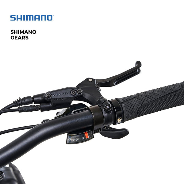 Hygge Sorø 2025 Foldable Electric Bike 250W