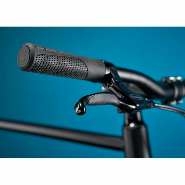 Pure Flux One Single Speed Electric Hybrid Bike 250W