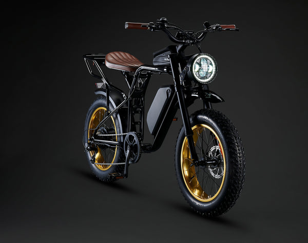 Rocket SX Sport Utility Electric Bike 250W