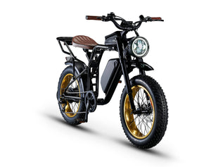 Rocket SX Sport Utility Electric Bike 250W
