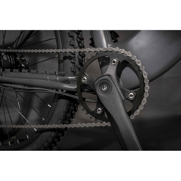 A zoomed in shot of an electric mountain bike's drivetrain including the chainring and cranks.