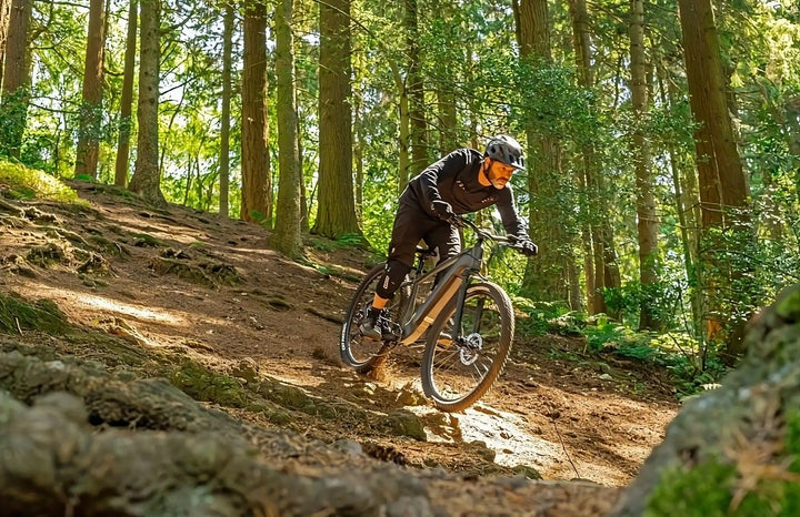 Rider descending a forest trail on an electric mountain bike, illustrating how to choose the right e-MTB for off-road performance