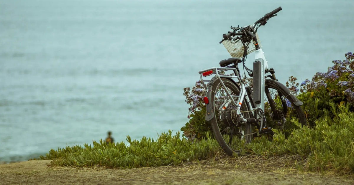 Affordable electric bike parked by the coast, representing a practical and best value e-bike for everyday commuting and leisure rides.