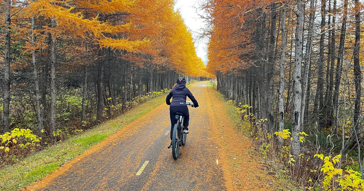 Cyclist riding a road-legal electric bike along a scenic forest trail lined with autumn trees.