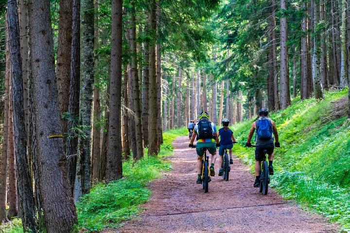 Group of riders on electric bikes along a forest trail, highlighting scenic and e-bike-friendly riding destinations in the UK