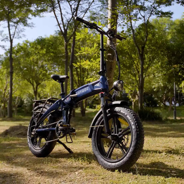 8 Reasons You Must Invest in Fat Tyre Electric Bikes - Listed and Revealed!