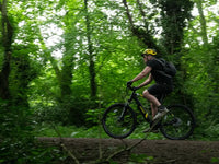 Rider using an electric mountain bike on a forest trail, showcasing off-road e-bike performance