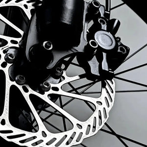 Electric bike disc brake and large frame design suitable for tall riders with enhanced control and stability