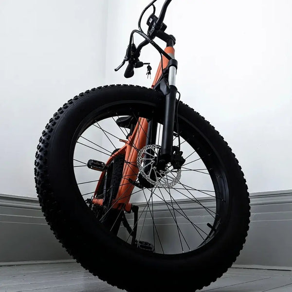 E Movement Thunder V4.2 Electric Mountain Bike 250W/500W