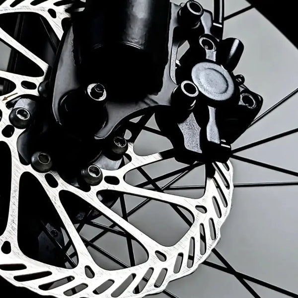 E Movement Thunder V4.2 Electric Mountain Bike 250W/500W