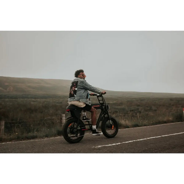 Cruz73 Retro Fat Tyre Electric Bike 250W