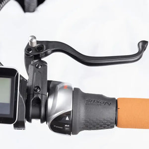 View of the handlebar controls on the Family S, featuring the Shimano Nexus gear shifter, ergonomic grip, and brake lever with parking lock.
