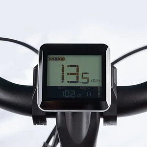 Digital LCD display of the Aitour Electric Cargo Bike Starter 250W showing speed, battery level, and trip data.