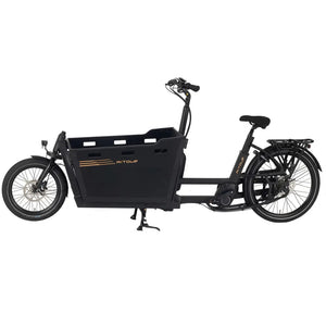 Full side view of the Aitour Electric Cargo Bike Starter 250W with a spacious front cargo box and sturdy frame.