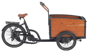 Aitour Electric Cargo Bike - Family S 250W