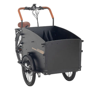 Front angled view of the Aitour Electric Cargo Bike Starter 250W, showing the cargo box and ergonomic handlebars.