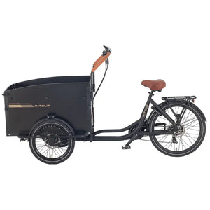Left side view of the Aitour Electric Cargo Bike Starter 250W with large black cargo box and step-through frame.