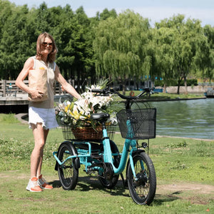 Woman standing beside the Aitour Heal Mini folding electric trike outdoors, rear basket filled with flowers and groceries.