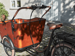 Amcargobikes Ultimate Harmony Cargo Electric Tricycle 250W
