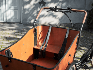 Amcargobikes Ultimate Harmony Cargo Electric Tricycle 250W