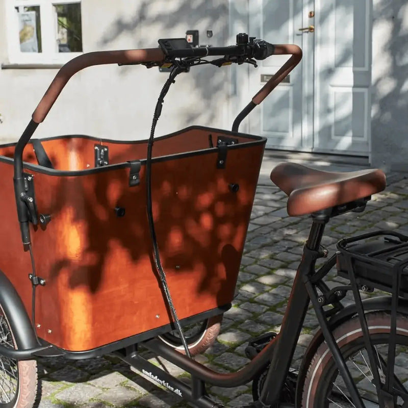 Rear luggage rack of the Amcargobikes Ultimate Harmony containing the removable lithium battery, integrated securely above the rear fender and the anti -tilt steering.