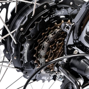 Close-up of the 250W rear hub motor and Shimano cassette gears on the Ampere Deluxe electric bike.