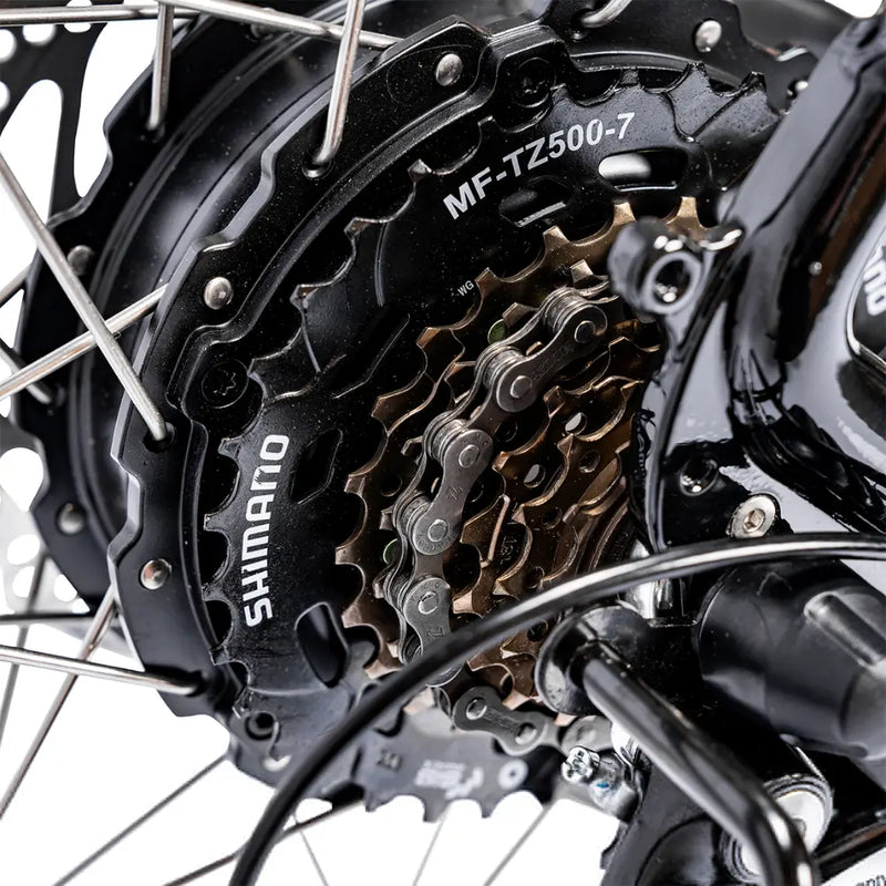 Close-up of the 250W rear hub motor and Shimano cassette gears on the Ampere Deluxe electric bike.