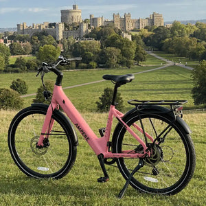 Pink Ampere Deluxe 16" on grass with Windsor Castle in the background.