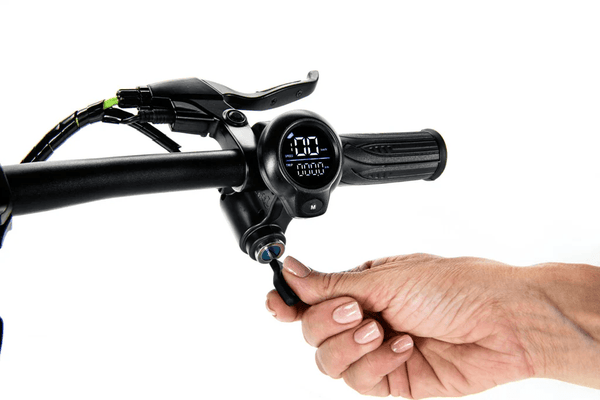 Argento Active-Bike Electric Scooter 350W