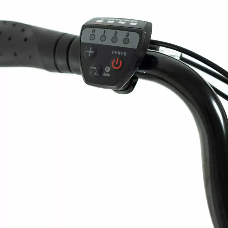 Close-up of the LED handlebar control panel, showing power levels (0-3) and battery indicator on the Basis Dorchester.