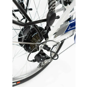 Close-up of the rear hub motor, Shimano 7-speed cassette, and derailleur on the Basis Dorchester.