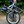 Basis Osprey Low Step Folding Electric Bike 250W