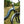 Close-up of the curved low-step frame and front suspension fork on the Basis Osprey Folding Electric Bike 250W in an outdoor setting.