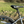 Basis Protocol Electric Hybrid Mountain Bike 250W