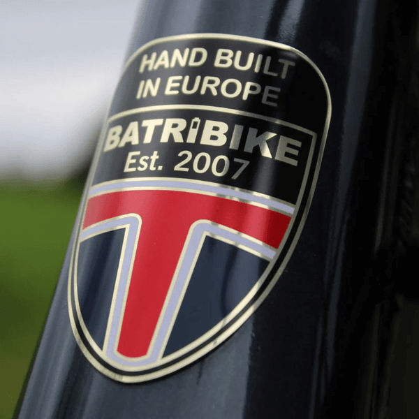 Batribike Delta Plus Electric Hardtail Mountain Bike eMTB 250W